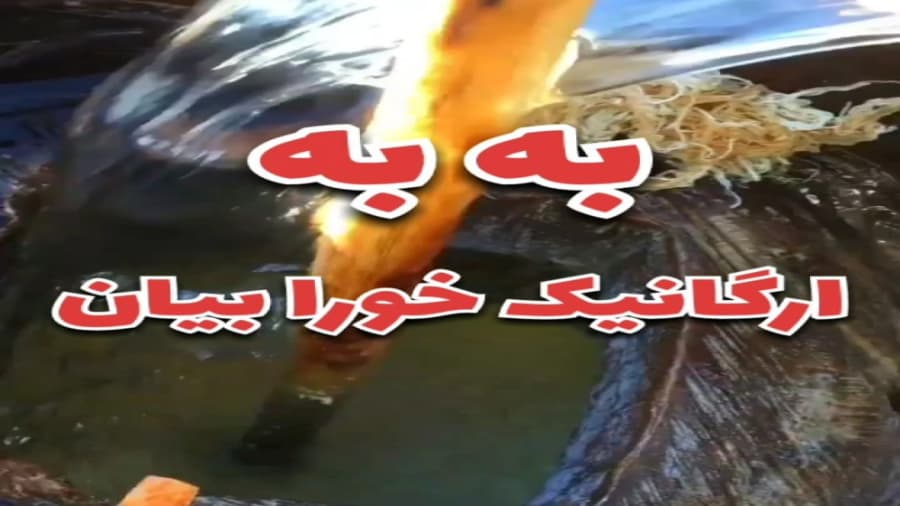 کره گیری طبیعی در فشکور مازندران