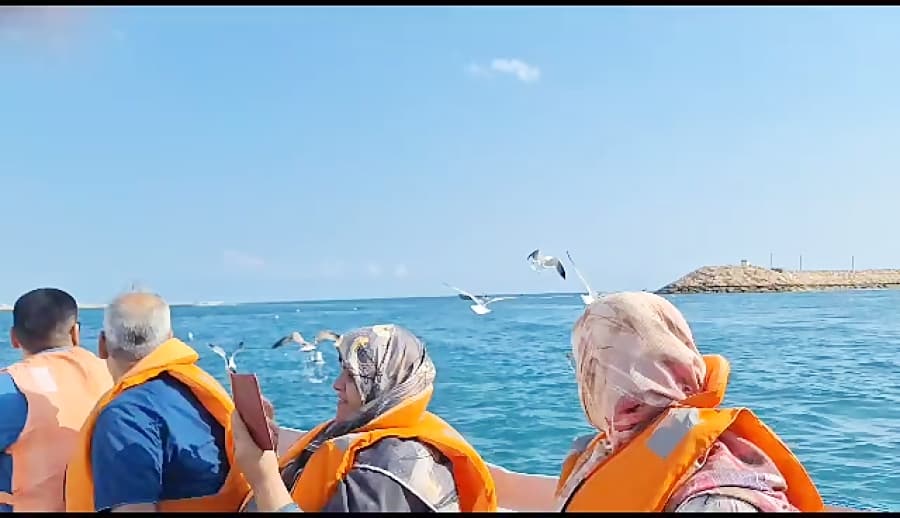 تور جزیره قشم، شب یلدا 1402 - فرنود گشت