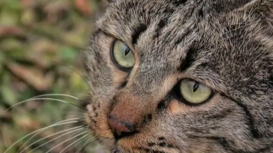 غذارسانی به حیوانات در فصل سرد رو فراموش نکنید // باغ موزه قصر