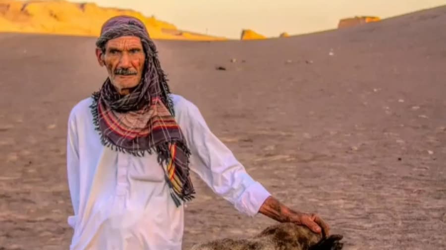 شتر سواری تو کویر لوت // دور کرمان بگردیم