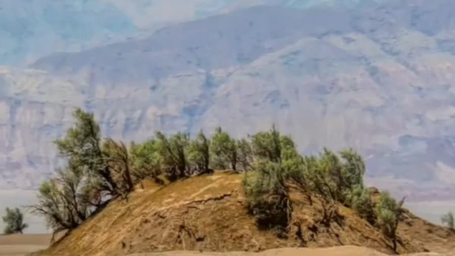 نبکاها، گلدان های طبیعی کویر لوت ایران // دور کرمان بگردیم