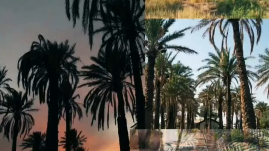 اکوکمپ ستاره لوت، کمپی متفاوت در کنار کویر لوت ایران