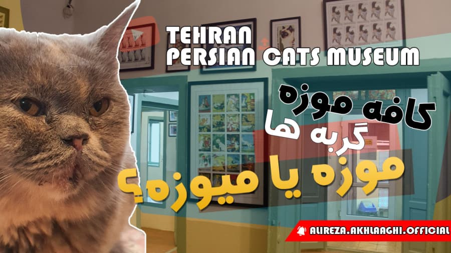 موزه یا میوزه؟ // موزه گربه های ایرانی // دور تهران بگردیم