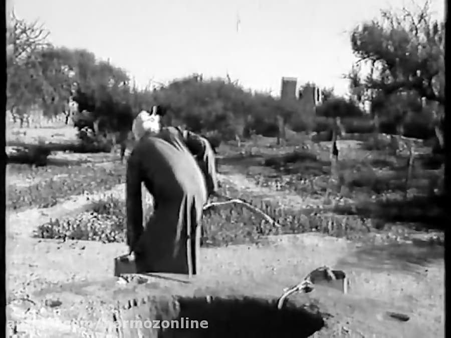 Salakh  Qeshm - Hormozgan     سلخ در جزیره قشم هرمزگان