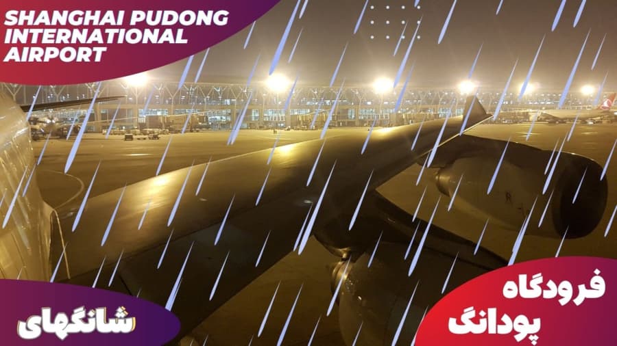 فرودگاه شانگهای و شب بارونی // داریم آماده می شیم برگردیم