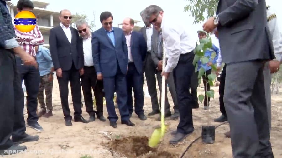 روز درختکاری در منطقه آزاد قشم