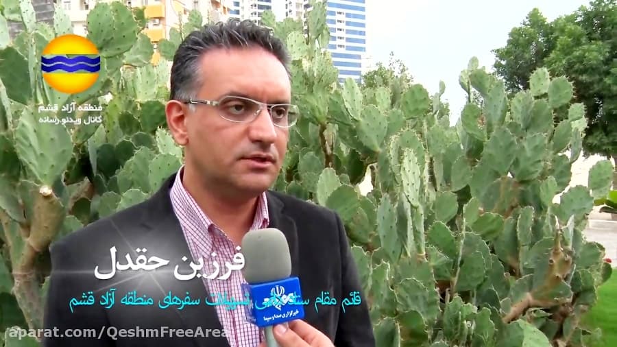 استقبال مسافران نوروزی از جزیره زیبای قشم