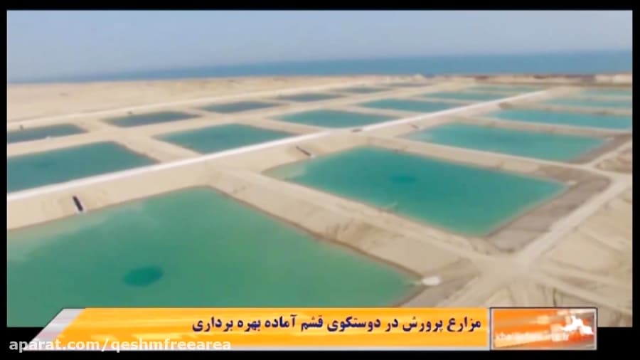 مزرعه پرورش میگودرروستای دوستکوجزیره قشم/شبکه خلیج فارس