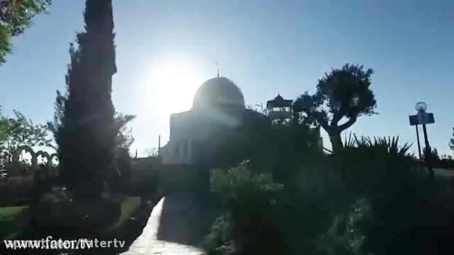 مستند منفی 25