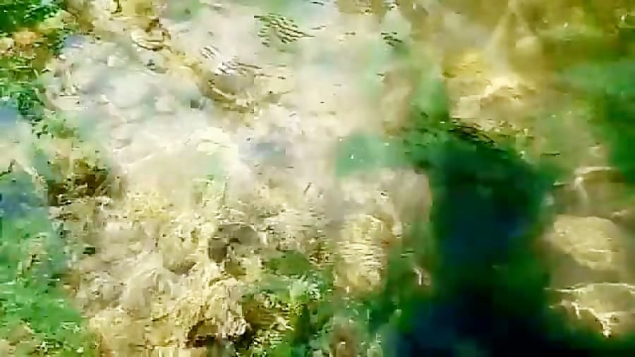 طبیعت گردی در رود خانه کسیلیان، پلنگ دره