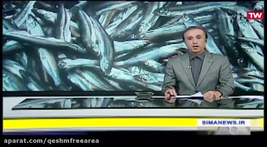 خبرسراسری/مصاحبه بامدیر شیلات و کشاورزی منطقه آزاد قشم