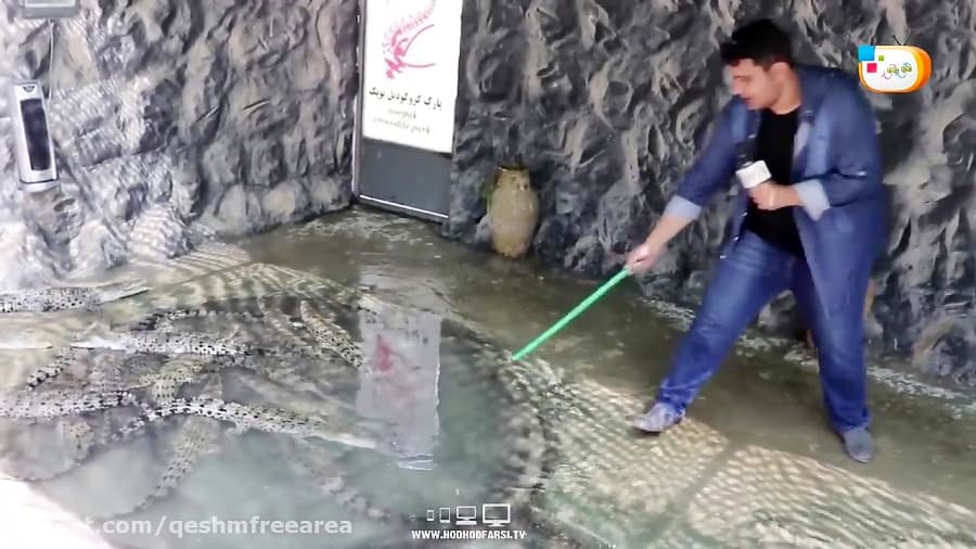 برنامه و جشن های کاروان هدهد در قشم-شماره 5