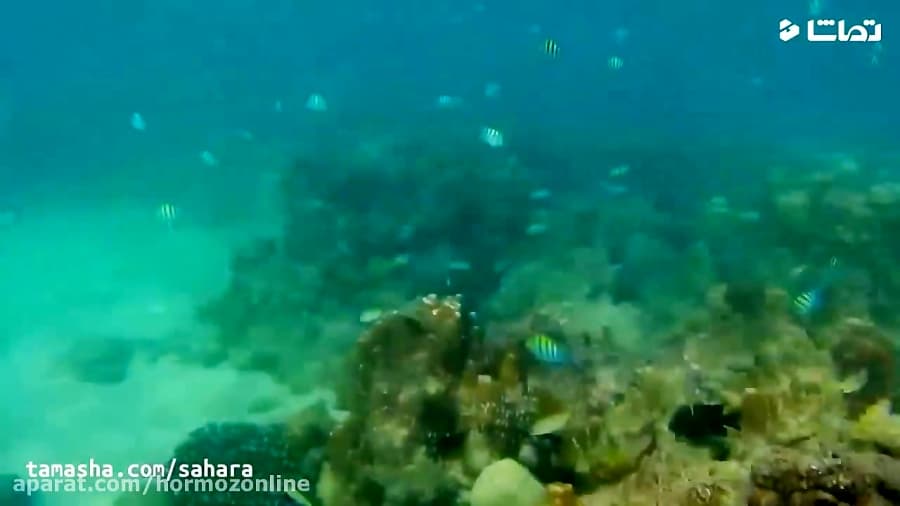 گشت و گذار در جزیره قشم