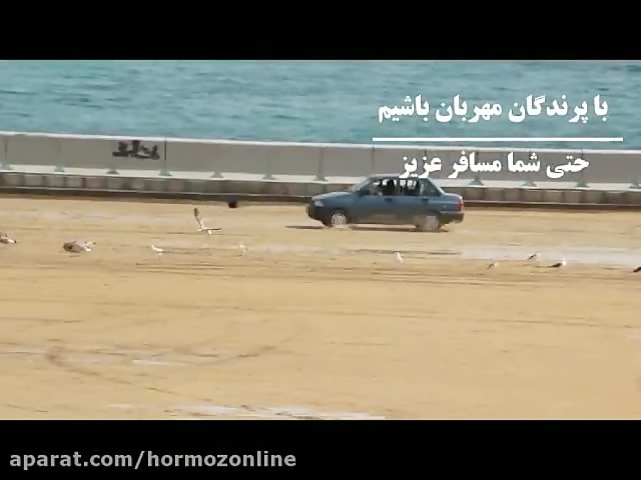 با پرندگان مهربان باشیم