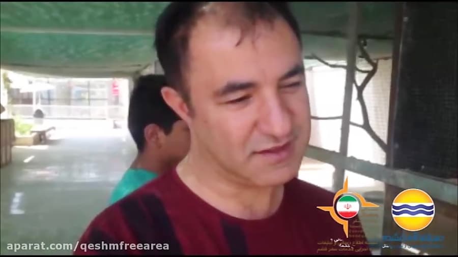 پارک نوپک قشم، آشنایی کودکان با دنیای اسرارآمیز خزندگان