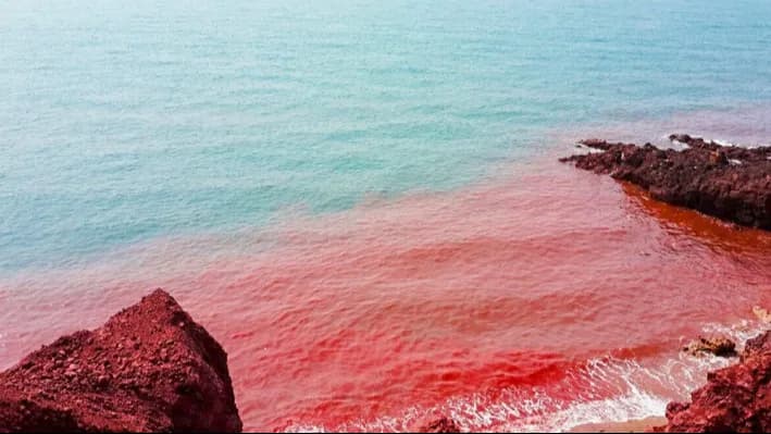 تور و گشت هرمز وهنگام از قشم