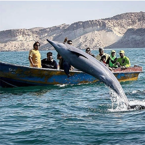 نکات مهم برای سفر به جزیره هنگام