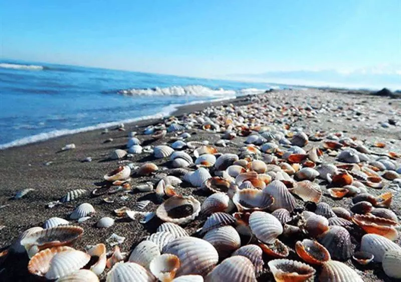 Best Naz Island in Qeshm | A Unique Experience in Naz Island